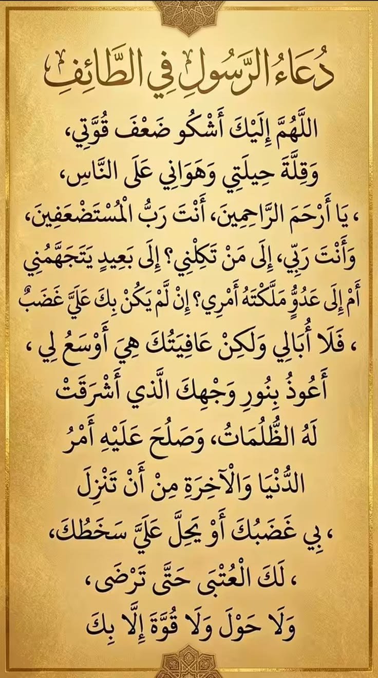 1122592644649055978