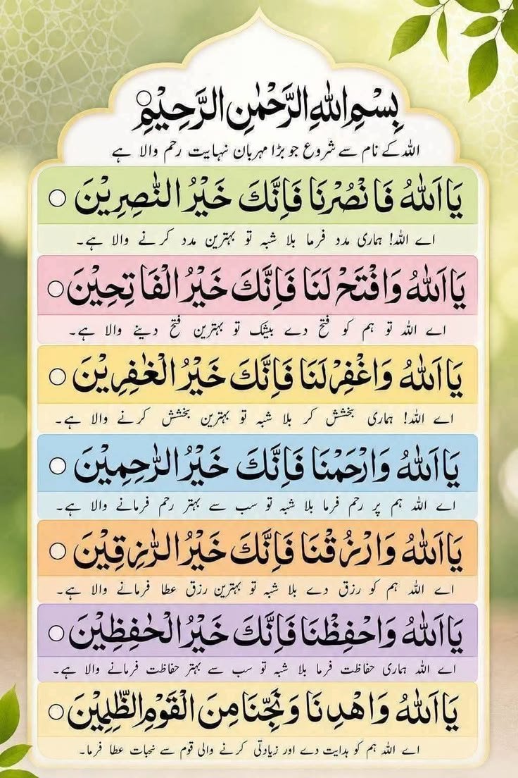 613896993002551537